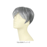 PRISILA プリシラ メンズ 部分ウィッグ 部分ウイッグ 通販 部分かつら ヘアピース カバーピース かつら ウィッグ ウイッグ つけ毛 メンズウィッグ 五分ウィッグ 5分ウィッグ 五分ウイッグ