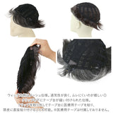 PRISILA プリシラ メンズ 部分ウィッグ 部分ウイッグ 通販 部分かつら ヘアピース カバーピース かつら ウィッグ ウイッグ つけ毛 メンズウィッグ 五分ウィッグ 5分ウィッグ 五分ウイッグ