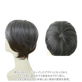 PRISILA プリシラ メンズ 部分ウィッグ 部分ウイッグ 通販 部分かつら ヘアピース カバーピース かつら ウィッグ ウイッグ つけ毛 メンズウィッグ 五分ウィッグ 5分ウィッグ 五分ウイッグ