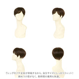 PRISILA プリシラ メンズ 部分ウィッグ 部分ウイッグ 通販 部分かつら ヘアピース カバーピース かつら ウィッグ ウイッグ つけ毛 メンズウィッグ 五分ウィッグ 5分ウィッグ 五分ウイッグ