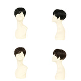 PRISILA プリシラ メンズ 部分ウィッグ 部分ウイッグ 通販 部分かつら ヘアピース カバーピース かつら ウィッグ ウイッグ つけ毛 メンズウィッグ 五分ウィッグ 5分ウィッグ 五分ウイッグ