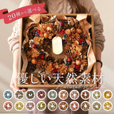 ナチュラルリース L 楽天 ブリザードフラワー フラワーアレンジメント 箱入り 造花 ギフト おしゃれ フラワーギフト 玄関 リビング 玄関飾り かわいい 可愛い インテリア 雑貨 オシャレ