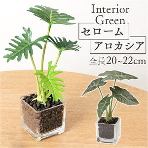 観葉植物 フェイク 小さい 通販 フェイクグリーン アーティフィシャルグリーン インテリアグリーン 人工観葉植物 卓上 小さめ 小型 ミニ ガラス 鉢 ポット ガラスポット ガラス鉢