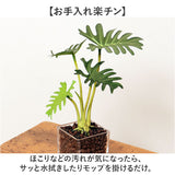 観葉植物 フェイク 小さい 通販 フェイクグリーン アーティフィシャルグリーン インテリアグリーン 人工観葉植物 卓上 小さめ 小型 ミニ ガラス 鉢 ポット ガラスポット ガラス鉢