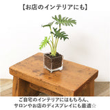 観葉植物 フェイク 小さい 通販 フェイクグリーン アーティフィシャルグリーン インテリアグリーン 人工観葉植物 卓上 小さめ 小型 ミニ ガラス 鉢 ポット ガラスポット ガラス鉢