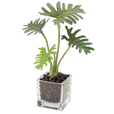観葉植物 フェイク 小さい 通販 フェイクグリーン アーティフィシャルグリーン インテリアグリーン 人工観葉植物 卓上 小さめ 小型 ミニ ガラス 鉢 ポット ガラスポット ガラス鉢