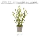 観葉植物 フェイク 大型 通販 フェイクグリーン ミルクブッシュ アーティフィシャルグリーン ミドリサンゴ インテリアグリーン 人工観葉植物 大きめ 鉢植え ポット リビング おしゃれ