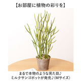 観葉植物 フェイク 大型 通販 フェイクグリーン ミルクブッシュ アーティフィシャルグリーン ミドリサンゴ インテリアグリーン 人工観葉植物 大きめ 鉢植え ポット リビング おしゃれ