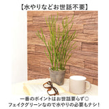 観葉植物 フェイク 大型 通販 フェイクグリーン ミルクブッシュ アーティフィシャルグリーン ミドリサンゴ インテリアグリーン 人工観葉植物 大きめ 鉢植え ポット リビング おしゃれ