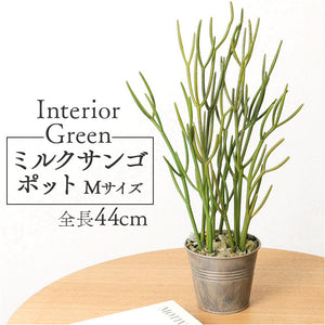 観葉植物 フェイク 大型 通販 フェイクグリーン ミルクブッシュ アーティフィシャルグリーン ミドリサンゴ インテリアグリーン 人工観葉植物 大きめ 鉢植え ポット リビング おしゃれ