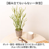 観葉植物 フェイク 大型 通販 フェイクグリーン ミルクブッシュ アーティフィシャルグリーン ミドリサンゴ インテリアグリーン 人工観葉植物 大きめ 鉢植え ポット リビング おしゃれ