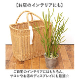 観葉植物 フェイク 大型 通販 フェイクグリーン ミルクブッシュ アーティフィシャルグリーン ミドリサンゴ インテリアグリーン 人工観葉植物 大きめ 鉢植え ポット リビング おしゃれ
