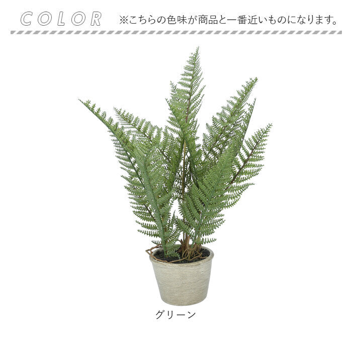 観葉植物 フェイク 大型 通販 フェイクグリーン アーティフィシャルグリーン インテリアグリーン 人工観葉植物 大きめ 鉢植え ポット 玄関 –  バックヤードファミリー