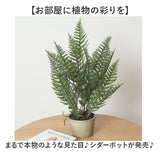 観葉植物 フェイク 大型 通販 フェイクグリーン アーティフィシャルグリーン インテリアグリーン 人工観葉植物 大きめ 鉢植え ポット 玄関 リビング オフィス 店舗 おしゃれ ギフト