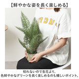 観葉植物 フェイク 大型 通販 フェイクグリーン アーティフィシャルグリーン インテリアグリーン 人工観葉植物 大きめ 鉢植え ポット 玄関 リビング オフィス 店舗 おしゃれ ギフト