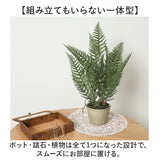 観葉植物 フェイク 大型 通販 フェイクグリーン アーティフィシャルグリーン インテリアグリーン 人工観葉植物 大きめ 鉢植え ポット 玄関 リビング オフィス 店舗 おしゃれ ギフト