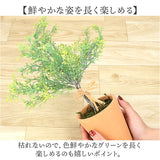 観葉植物 フェイク 大型 通販 フェイクグリーン アーティフィシャルグリーン インテリアグリーン 人工観葉植物 大きめ 鉢植え ポット 玄関 リビング オフィス 店舗 おしゃれ ギフト