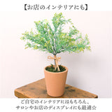 観葉植物 フェイク 大型 通販 フェイクグリーン アーティフィシャルグリーン インテリアグリーン 人工観葉植物 大きめ 鉢植え ポット 玄関 リビング オフィス 店舗 おしゃれ ギフト