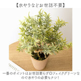 観葉植物 フェイク 大型 通販 フェイクグリーン アーティフィシャルグリーン インテリアグリーン 人工観葉植物 大きめ 鉢植え ポット 玄関 リビング オフィス 店舗 おしゃれ ギフト