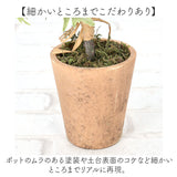 観葉植物 フェイク 大型 通販 フェイクグリーン アーティフィシャルグリーン インテリアグリーン 人工観葉植物 大きめ 鉢植え ポット 玄関 リビング オフィス 店舗 おしゃれ ギフト