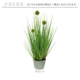 観葉植物 フェイク 大型 通販 フェイクグリーン ポンポングラス アーティフィシャルグリーン インテリアグリーン 人工観葉植物 大きめ 鉢植え ポット 玄関 リビング オフィス