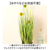 観葉植物 フェイク 大型 通販 フェイクグリーン ポンポングラス アーティフィシャルグリーン インテリアグリーン 人工観葉植物 大きめ 鉢植え ポット 玄関 リビング オフィス