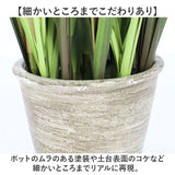観葉植物 フェイク 大型 通販 フェイクグリーン ポンポングラス アーティフィシャルグリーン インテリアグリーン 人工観葉植物 大きめ 鉢植え ポット 玄関 リビング オフィス