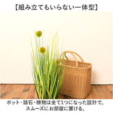 観葉植物 フェイク 大型 通販 フェイクグリーン ポンポングラス アーティフィシャルグリーン インテリアグリーン 人工観葉植物 大きめ 鉢植え ポット 玄関 リビング オフィス