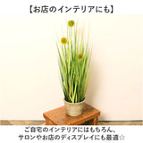 観葉植物 フェイク 大型 通販 フェイクグリーン ポンポングラス アーティフィシャルグリーン インテリアグリーン 人工観葉植物 大きめ 鉢植え ポット 玄関 リビング オフィス