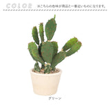 観葉植物 フェイク 大型 通販 フェイクグリーン サボテン アーティフィシャルグリーン インテリアグリーン 人工観葉植物 大きめ 鉢植え ポット 玄関 リビング オフィス 店舗 おしゃれ