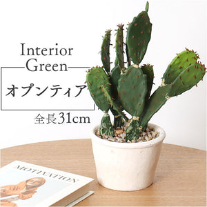 観葉植物 フェイク 大型 通販 フェイクグリーン サボテン アーティフィシャルグリーン インテリアグリーン 人工観葉植物 大きめ 鉢植え ポット 玄関 リビング オフィス 店舗 おしゃれ