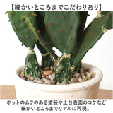 観葉植物 フェイク 大型 通販 フェイクグリーン サボテン アーティフィシャルグリーン インテリアグリーン 人工観葉植物 大きめ 鉢植え ポット 玄関 リビング オフィス 店舗 おしゃれ