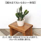 観葉植物 フェイク 大型 通販 フェイクグリーン サボテン アーティフィシャルグリーン インテリアグリーン 人工観葉植物 大きめ 鉢植え ポット 玄関 リビング オフィス 店舗 おしゃれ