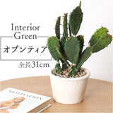 観葉植物 フェイク 大型 通販 フェイクグリーン サボテン アーティフィシャルグリーン インテリアグリーン 人工観葉植物 大きめ 鉢植え ポット 玄関 リビング オフィス 店舗 おしゃれ