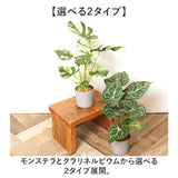 観葉植物 フェイク 大型 通販 フェイクグリーン アーティフィシャルグリーン インテリアグリーン 人工観葉植物 大きめ 鉢植え ポット 玄関 リビング オフィス 店舗 おしゃれ 新生活