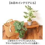 観葉植物 フェイク 大型 通販 フェイクグリーン アーティフィシャルグリーン インテリアグリーン 人工観葉植物 大きめ 鉢植え ポット 玄関 リビング オフィス 店舗 おしゃれ 新生活