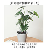 観葉植物 フェイク 大型 通販 フェイクグリーン セローム アーティフィシャルグリーン インテリアグリーン 人工観葉植物 大きめ 鉢植え ポット 玄関 リビング オフィス 店舗 おしゃれ