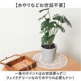 観葉植物 フェイク 大型 通販 フェイクグリーン セローム アーティフィシャルグリーン インテリアグリーン 人工観葉植物 大きめ 鉢植え ポット 玄関 リビング オフィス 店舗 おしゃれ