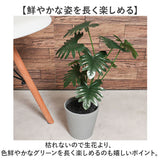 観葉植物 フェイク 大型 通販 フェイクグリーン セローム アーティフィシャルグリーン インテリアグリーン 人工観葉植物 大きめ 鉢植え ポット 玄関 リビング オフィス 店舗 おしゃれ
