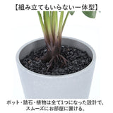 観葉植物 フェイク 大型 通販 フェイクグリーン セローム アーティフィシャルグリーン インテリアグリーン 人工観葉植物 大きめ 鉢植え ポット 玄関 リビング オフィス 店舗 おしゃれ
