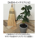 観葉植物 フェイク 大型 通販 フェイクグリーン セローム アーティフィシャルグリーン インテリアグリーン 人工観葉植物 大きめ 鉢植え ポット 玄関 リビング オフィス 店舗 おしゃれ