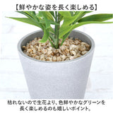 観葉植物 フェイク 大型 通販 フェイクグリーン ヤシ アーティフィシャルグリーン インテリアグリーン 人工観葉植物 大きめ 鉢植え ポット 玄関 リビング オフィス 店舗 おしゃれ ギフト