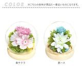 お供え ガラスドーム 供養 仏花 通販 フラワーアレンジメント プリザーブドフラワー プリザードフラワー 供え花 献花 飾り 手のひらサイズ ドーム ドームタイプ 仏壇用 お盆 花 フラワー