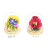 お供え ガラスドーム 供養 仏花 通販 フラワーアレンジメント プリザーブドフラワー プリザードフラワー 供え花 献花 飾り 手のひらサイズ ドーム ドームタイプ 仏壇用 お盆 花 フラワー