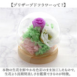 お供え ガラスドーム 供養 仏花 通販 フラワーアレンジメント プリザーブドフラワー プリザードフラワー 供え花 献花 飾り 手のひらサイズ ドーム ドームタイプ 仏壇用 お盆 花 フラワー