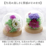 お供え ガラスドーム 供養 仏花 通販 フラワーアレンジメント プリザーブドフラワー プリザードフラワー 供え花 献花 飾り 手のひらサイズ ドーム ドームタイプ 仏壇用 お盆 花 フラワー