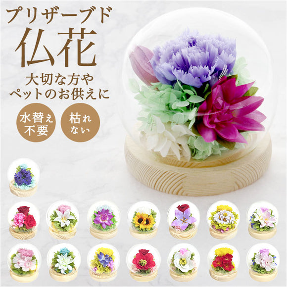 お供え ガラスドーム 供養 仏花 通販 フラワーアレンジメント プリザーブドフラワー プリザードフラワー 供え花 献花 飾り 手のひらサイズ ドーム ドームタイプ 仏壇用 お盆 花 フラワー