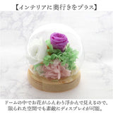 お供え ガラスドーム 供養 仏花 通販 フラワーアレンジメント プリザーブドフラワー プリザードフラワー 供え花 献花 飾り 手のひらサイズ ドーム ドームタイプ 仏壇用 お盆 花 フラワー