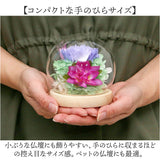 お供え ガラスドーム 供養 仏花 通販 フラワーアレンジメント プリザーブドフラワー プリザードフラワー 供え花 献花 飾り 手のひらサイズ ドーム ドームタイプ 仏壇用 お盆 花 フラワー