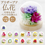 お供え ガラスドーム 供養 仏花 通販 フラワーアレンジメント プリザーブドフラワー プリザードフラワー 供え花 献花 飾り 手のひらサイズ ドーム ドームタイプ 仏壇用 お盆 花 フラワー